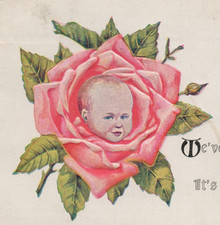 Baby Children Rose Cabbage Patch art embossed 1913 stamped Detroit Postcard picture