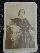 antique FRENCH Painter Sculptor ROSA BONHEUR (1822-1899) CDV PHOTOGRAPH w COW  picture