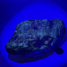 AMAZING Fluorescent Indonesian Amber Specimen 419 Grams picture