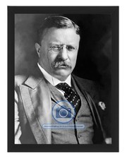 PRESIDENT THEODORE 