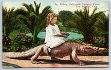 San Diego Antique California Postcard LOS ANGELES Alligator Farm Girl 1918 picture