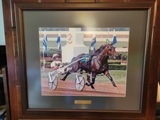 Framed 29 3/4 x 25 3/4 USTA Photo - Rock N Roll Hanover Driven By Brian Sears picture