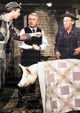 Eddie Albert, Tom Lester & Hank Patterson RARE COLOR Photo 308 picture