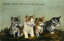Cat Postcard Marlboro Quartet Oh How We'll Sing Orange & Gray Tabby Kittens 8026 picture