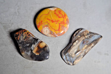 Western Gems From Utah and Colorado picture