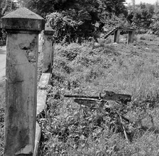WW2 WWII Photo World War Two / Post War Scenes from the Phillipines Leyte / 8498 picture