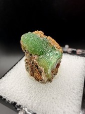 Fluorescent Cuprian Adamite on Matrix (Thumbnail) - Ojuela Mine, Mexico picture