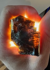 Australian Root Beer Dravite Tourmaline Crystal 43g - Yinnietharra Mines picture