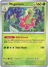 Meganium Holofoil MEG 010/132 R NM picture