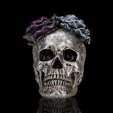 1pc, Skull Decor, Resin Craft Skeleton Head Desktop Decoration, Indoor And Outdo picture