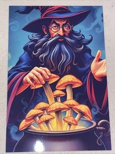 Terence McKenna WIZARD Psychedelic DMT MAGIC MUSHROOM Painting Style Art Photo picture