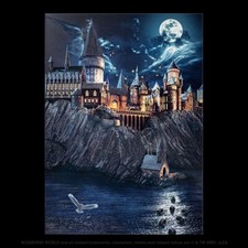 Displate Limited Edition Metal Poster -Back to Hogwarts (Harry Potter) picture