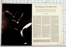 1981 Scientific American Barn Owl Hearing Article & Vintage Ads Ephemera picture
