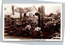 Vintage RPPC The Fernhouse Pukekura Park New Plymouth New Zealand Postcard picture