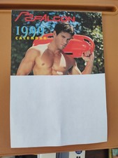 Vintage Falcon Studios 1999  Wall Calendar picture
