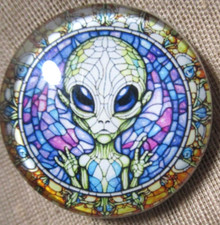 GLASS DOME PICTURE 