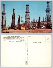 Long Beach California Signal Hill Oil Derricks Postcard picture