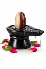 Narmadeshwar Shivling 2 Inch with 4 Inch Jaladhari Narmada Shivling For Home picture