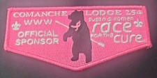 COMANCHE Lodge 254 CANCER Awareness Komen RACE FOR THE CURE PINK Border picture