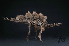 Jushi Studio Stegosaurus Skeleton Model Limited New Dinosaur Statue Collectible picture