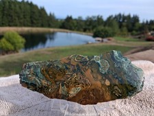 Awesome Old Stock Cut & Polished Petrified Wood Slab Hubbard Basin, NV #HB9 picture