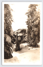 c1940 Winter Stevens Pass Snow Scene RPPC Ellis WA Cascade Mountains Pine Trees picture