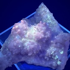 Natural Grateful Dead Calcite SpecimenAmazing UV👀.Minerals,Collector,Crystals picture