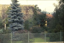 c1970's Ektachrome 35mm Slide Stone Wall Spruce Tree Chain Link Fence Building picture