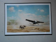 MILITARY RAF PRINT-  No 21 SQUADRON TWIN PIONEER SCRAMBLE TAKE OFF IN KENYA picture