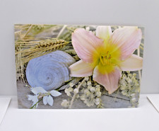 Postcard Pink Lily Shell Wheat Flowers Rustic Nature Scene Unused Card picture