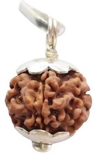 Original Nepali 1 Mukhi GOL Rudraksha/Original Ek Mukhi Rudraksha with Lab Certi picture
