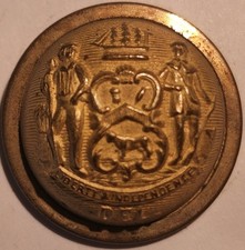 Post CVIL WAR DELAWARE OFFICERS COAT BUTTON 22.5mm  BUTTON picture