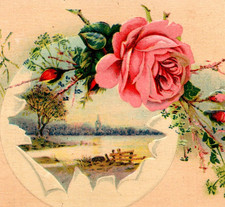 * Antique DB Postcard Greetings Embossed Flowers Roses Rural Scene Topographical picture