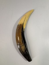 Smilodon fatalis Saber Tooth Cat Canine Tooth Fossil Replica w/ Info Card picture