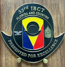 53rd IBCT Florida and Country Presented for Excellence Challenge Coin  W#5 picture