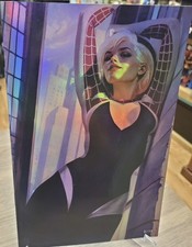 Mad Love Nathan Lorenzana 6 Spider-Gwen  Cosplay Matching 3/10 Foil Set 2 Books picture