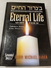New Eternal Life By R. Michael Haber. Jewish Book/Sefer picture