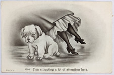 I'm Attracting A Lot of Attention Puppy Woman's Ankles Feet Legs HHT Postcard E1 picture