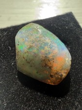 Virgin valley Rough Opal Specimen Uncut full spectrum of Color picture