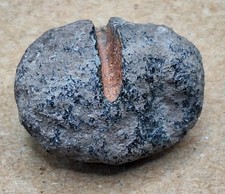 Pure Michigan Native Copper Nugget – Kearsarge Lode, Michigan -Copper Amygdule picture