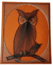1970's Owl String Art Mid-Century Modern pin art estate sale find original  picture