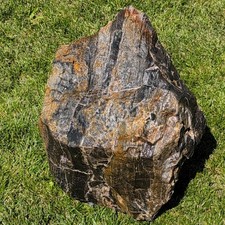 Large Museum Grade Centerpiece Petrified Wood Agate Opal Jasper From Southern Id picture
