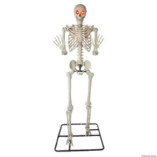 10 Ft. 5