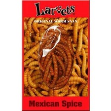 SUPERWORMS larvets Mexican spice flavor edible insects for human consumption picture