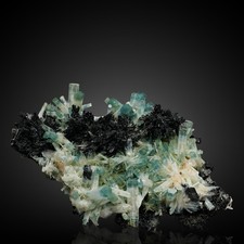 INSANE Aquamarine & Schorl From Erongo, Namibia - Fine Mineral Specimen picture