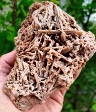1 Lb 10.3 Oz Extremely Rare Agate Pseudomorph After Zeolite picture