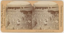 GEORGIA STEREOVIEW - Savannah - Cotton Warehouse - Whiting View Co picture
