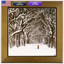 3dRose 8x8 Framed Tile Christmas New York Central Park Snow Blizzard picture
