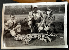 Rare 1950s Indian India Leopard Hunt ORIGINAL B&W PHOTO Hunting Rifles picture