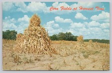 1981 Jesup Iowa Corn Fields Harvest Postcard Iran Hostage Crisis Note picture